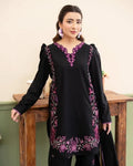 Kainat Embroided (Stitched 2 PCS)